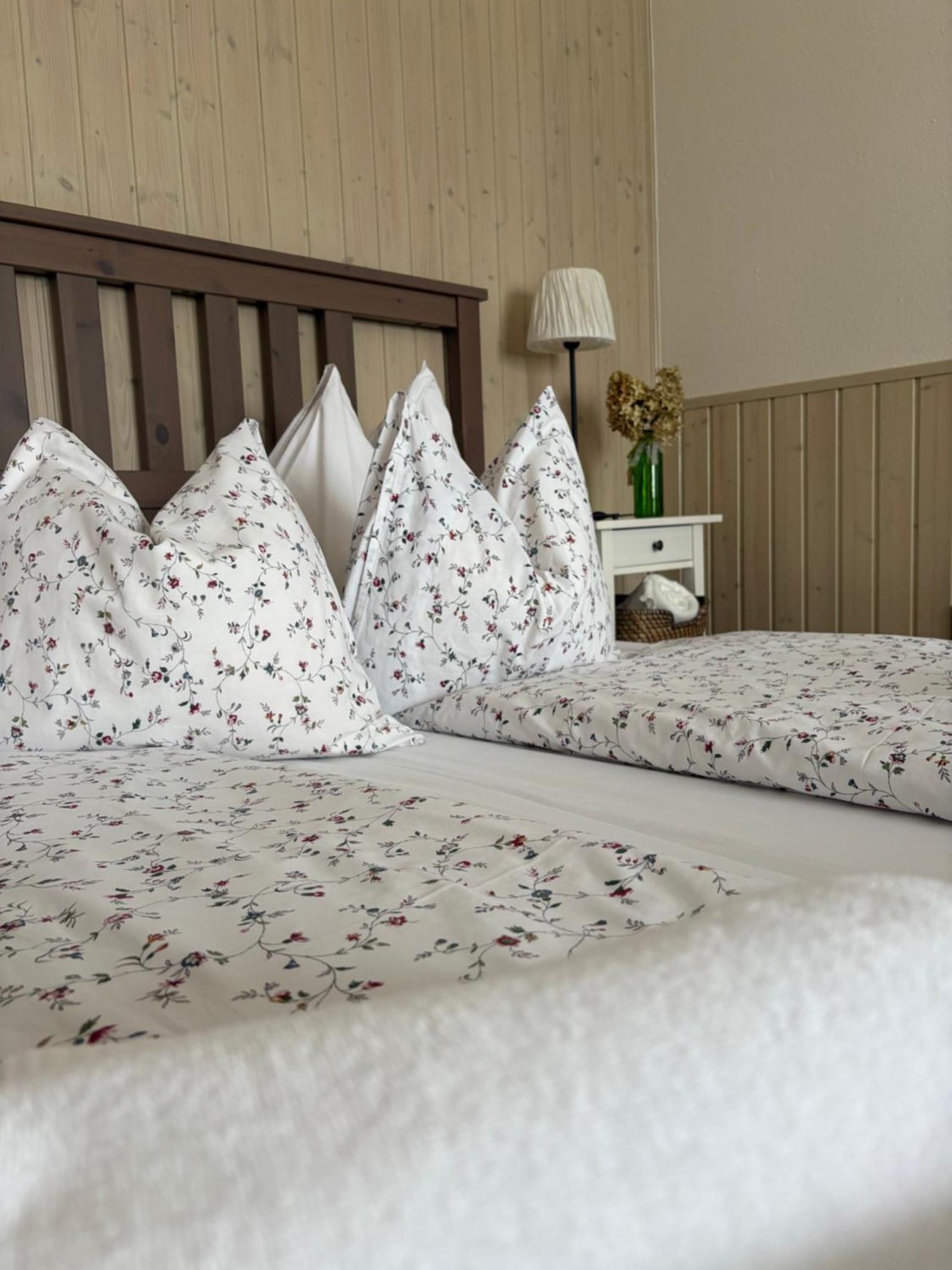 Huber Panzio Bed and Breakfast Fertőrákos Exteriör bild