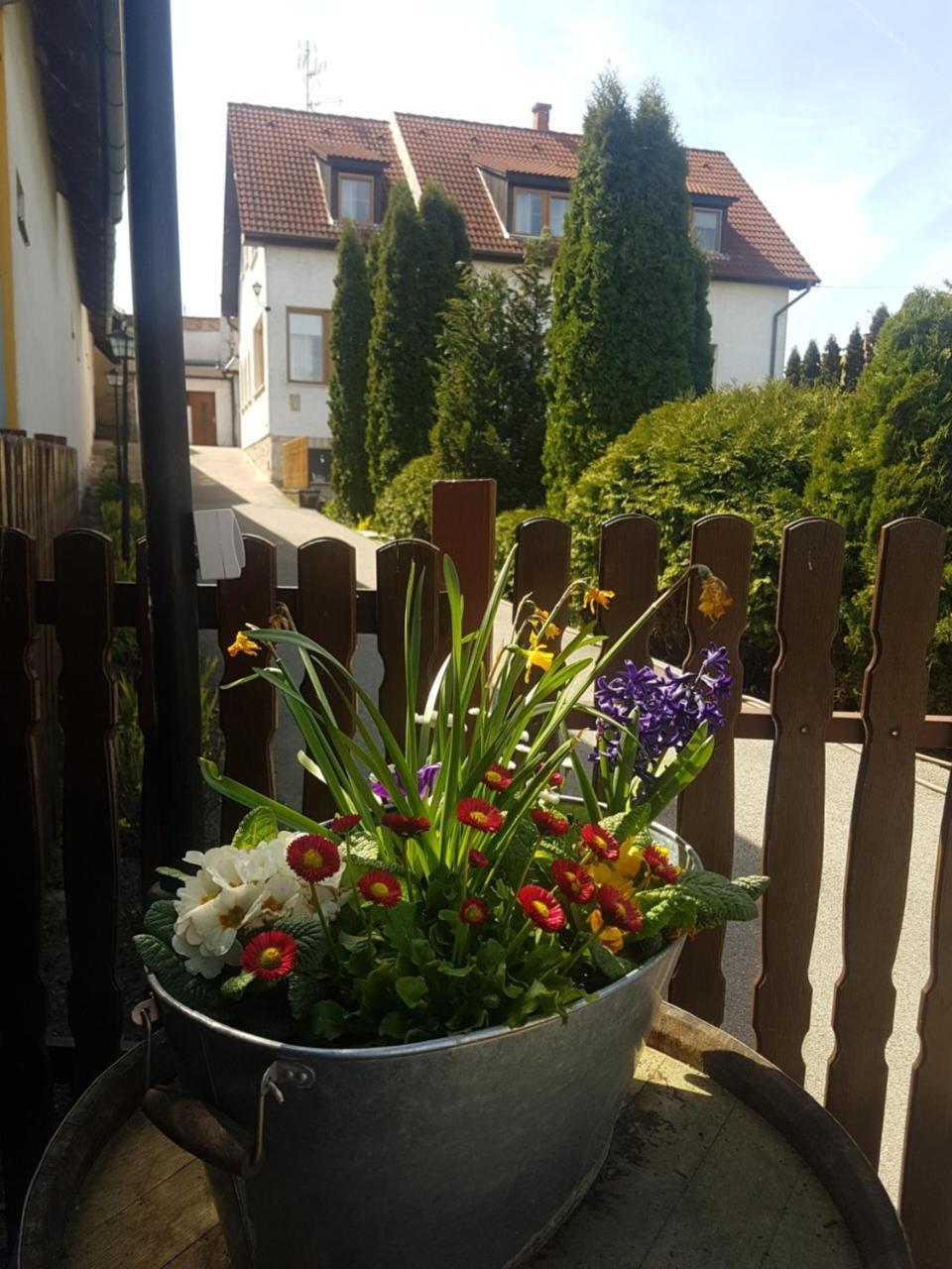 Huber Panzio Bed and Breakfast Fertőrákos Exteriör bild